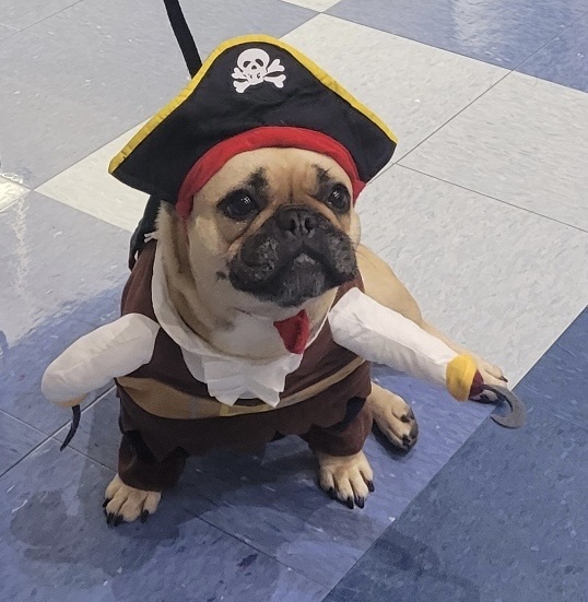 Ellie the pirate ❤️
